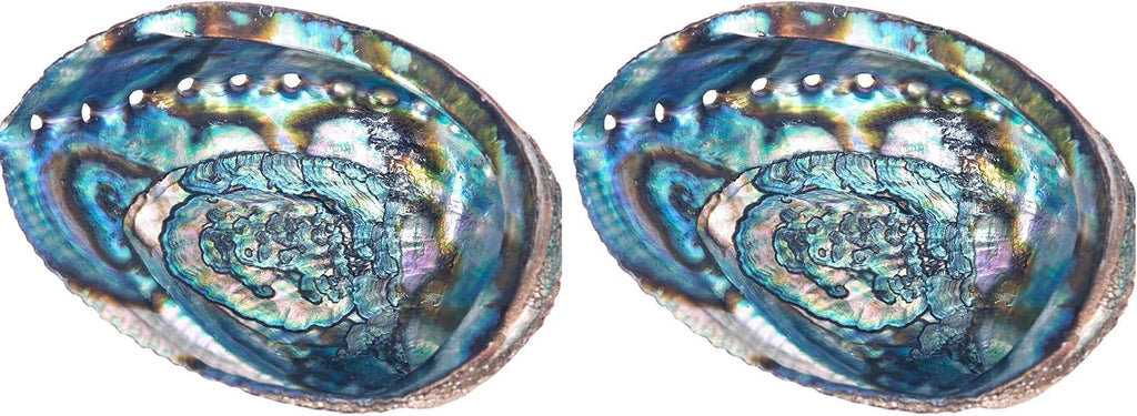 Abalone Shell Smudging Bowl Seashell Incense Burner, 5-6 Inches (Pack of 2)