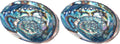 Abalone Shell Smudging Bowl Seashell Incense Burner, 5-6 Inches (Pack of 2)