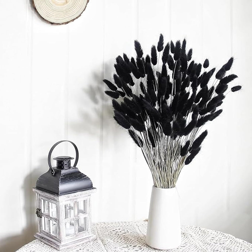 120pcs Bunny Tail Pampas Grass Dried Flowers for Vase Boho Flowers Dried Babys Breath Wedding Decor Dry Flowers for Vase (White 60PCS+Black 60PCS)