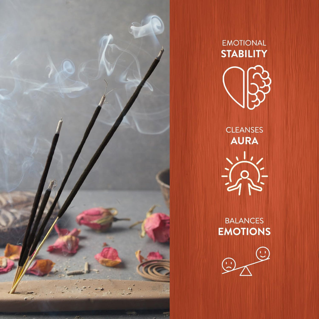 Hem Cinnamon Apple Incense Sticks (120 Sticks, 6 Boxes Inside) - 9 Inches Long, 20g per Box - Cozy and Inviting Fragrance, Evoking The Essence of Freshly Baked Apple Pie.
