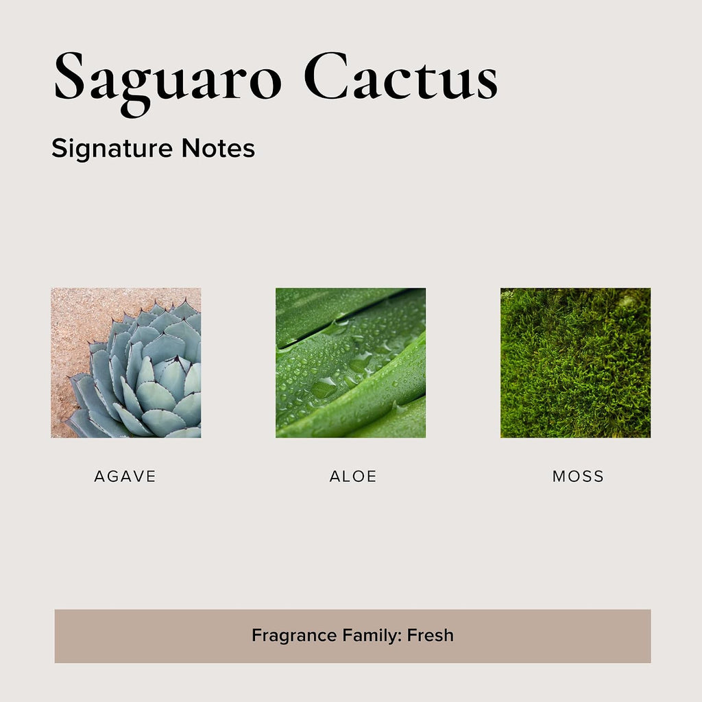 BROKEN TOP Natural Reed Diffuser Set (Saguaro Cactus)