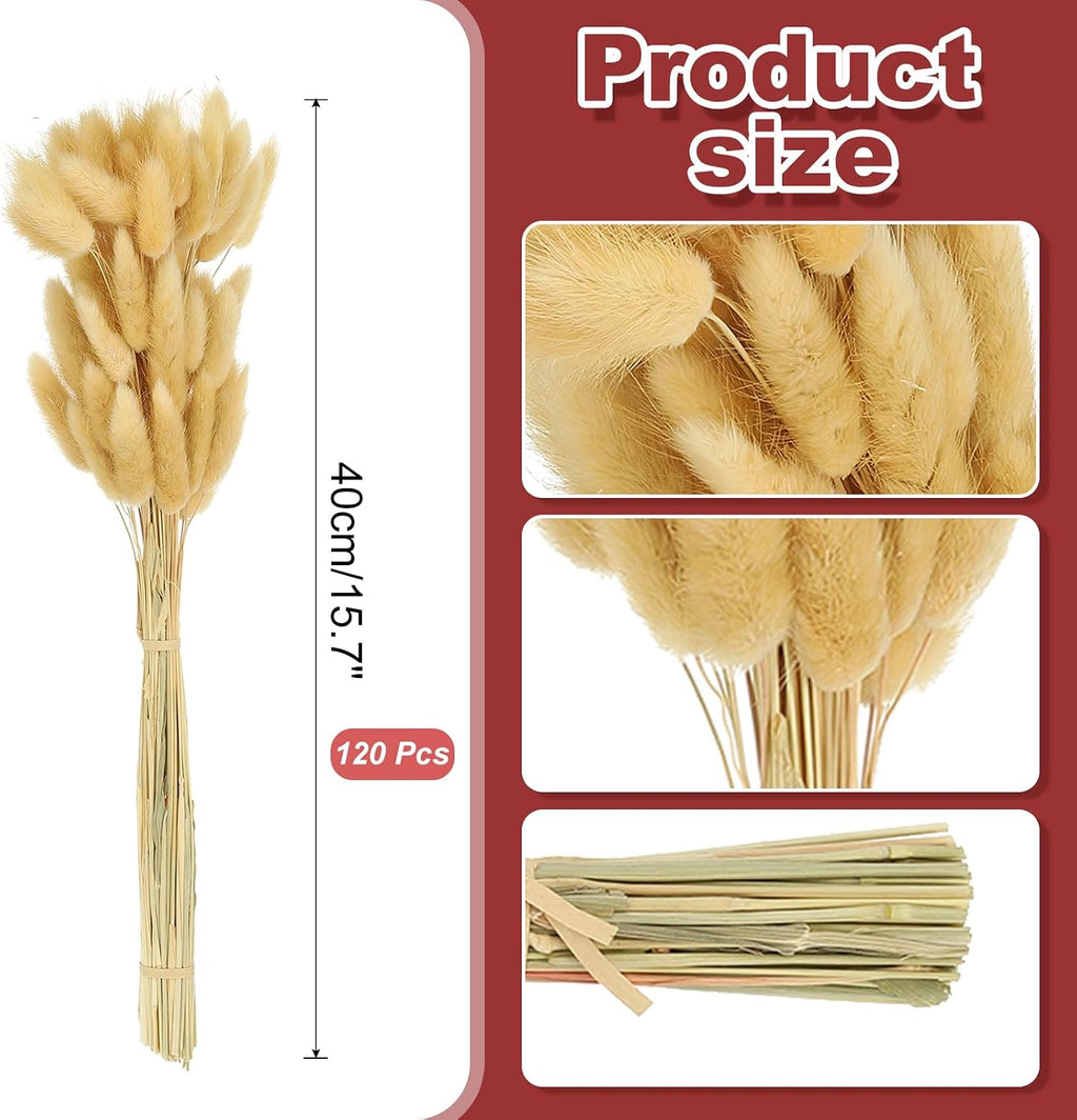 PATIKIL 15.7in Bunny Tails Dried Flowers, 120pcs Pampas Grass Decor Rabbit Tail Natural Pampas Grass Bulk Fluffy Faux Pampas Grass Dried for Home Boho Decor Vase Wedding Table, Beige