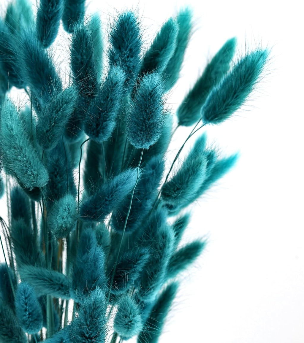 120pcs Bunny Tails Dried Flowers Pampas Grass Bouquet, Teal, 17 inch