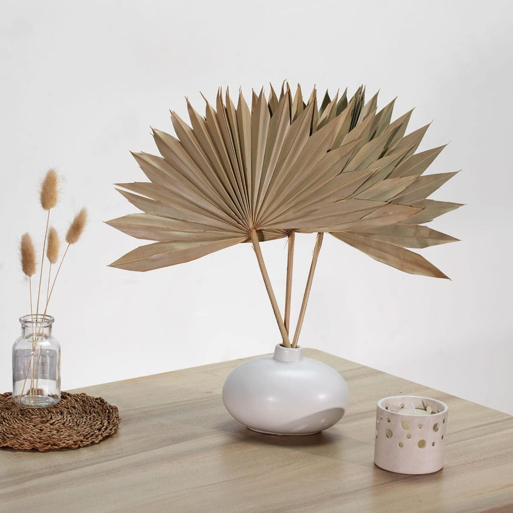 Natural Large Dried Palm Leaves-4 pcs Real Plants Palm Leaves, Sun Palms, Dried Flowers for Boho Wedding Home Party Decor, Leaf Decor