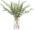 FAVOWREATH 6 Pcs Artificial Eucalyptus Stems with Glass Vase Fake Plants