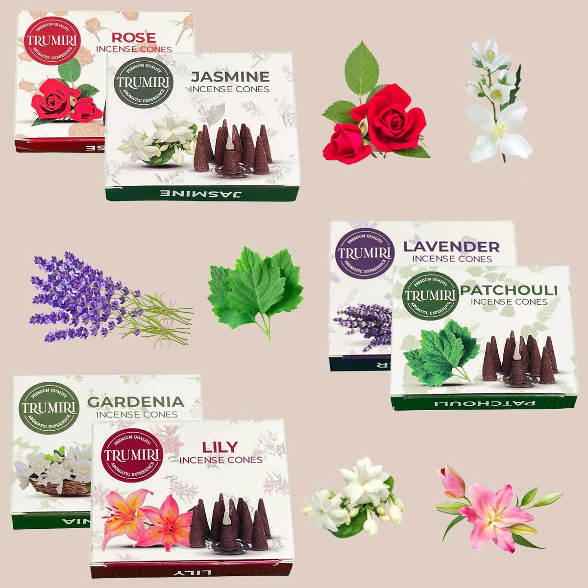 Trumiri Floral Incense Cones - Variety Pack - Total 60 Cone Incense (6 Scents x 10 Conos) - Rose, Lavender, Jasmin, Patchouli, Gardenia, Lily - Cone Incense Scents - Insense Cones - Incent Cone