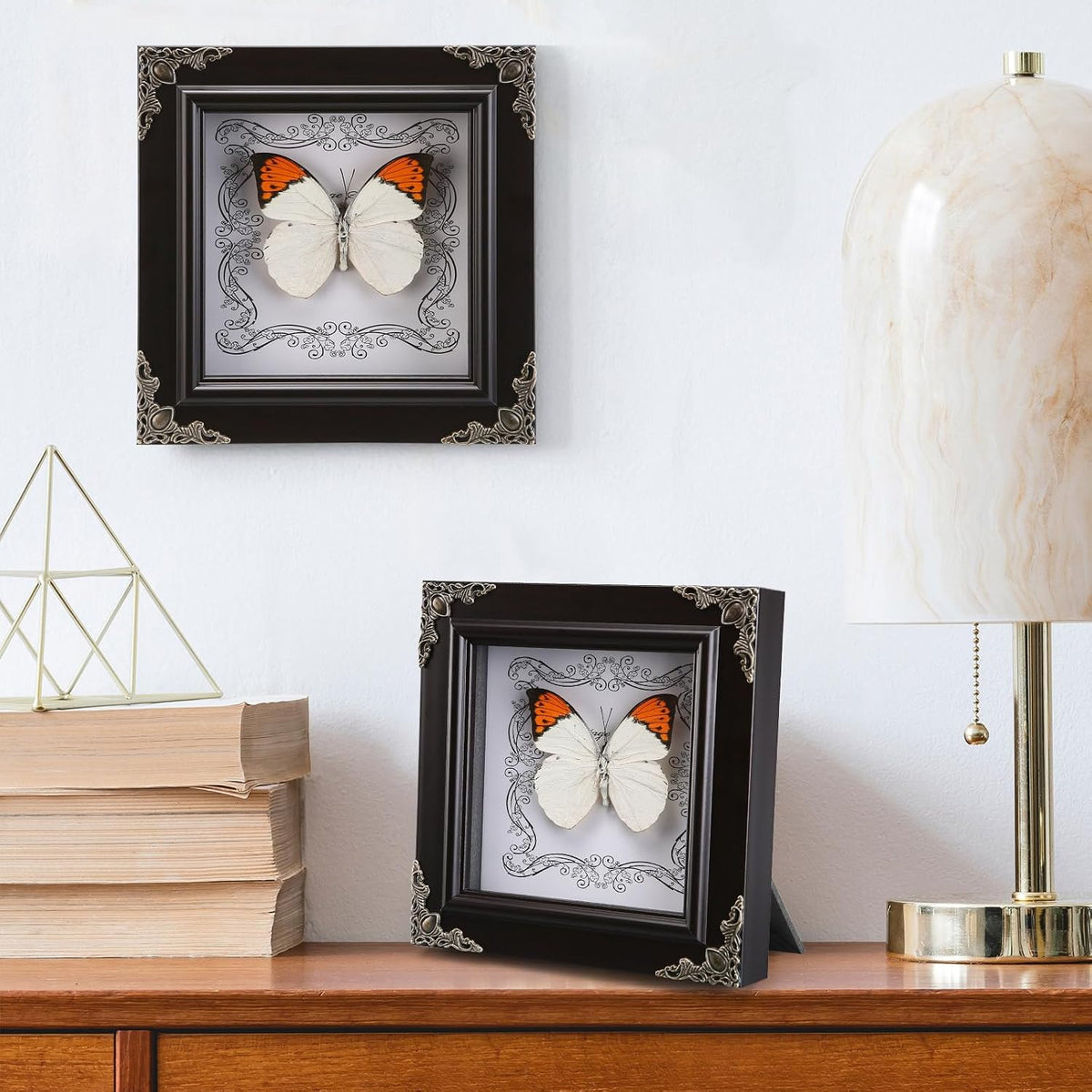 Real Framed Butterfly Specimen, Handmade Butterfly Taxidermy Shadow Box, Goth Gifts for Women, Dark Academia & Witchy Decor, (Crane Crest White Butterfly)