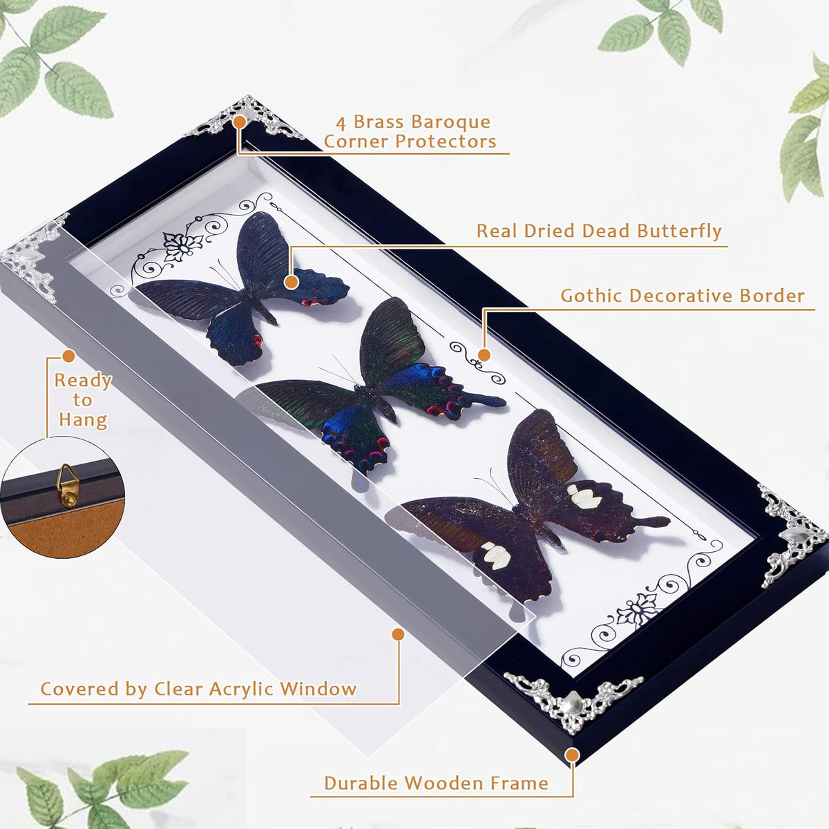 Framed 3 Real Butterfly Gothic Decor, 15.2"X6.5" Taxidermy Shadow Box Wall Decor for Witchy Home