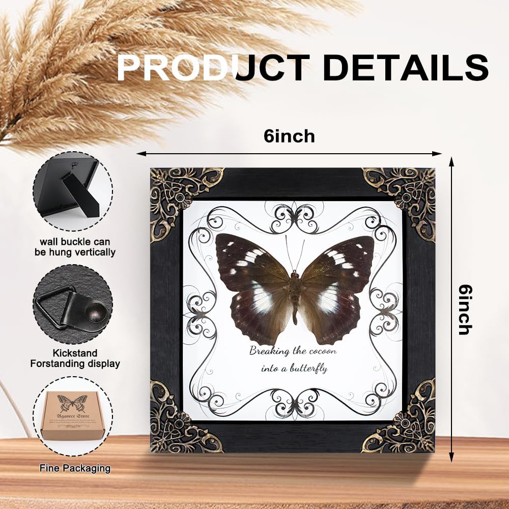Butterfly Framed Decoration Handmade Taxidermy Butterfly Shadow Box Collection Framed Butterfly Taxidermy for Gothic Home Decor