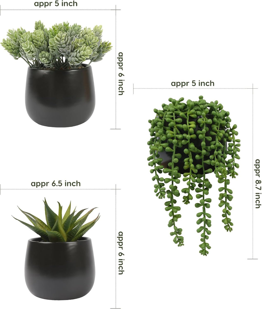 Velener Artificial Succulents Plants in Black Pots (Set of 3) - Faux String of Pearls, Aloe & Sedum Potted Plants Small Fake Plants Indoor for Home Office Table Desk Shelf Kitchen Bathroom Decor