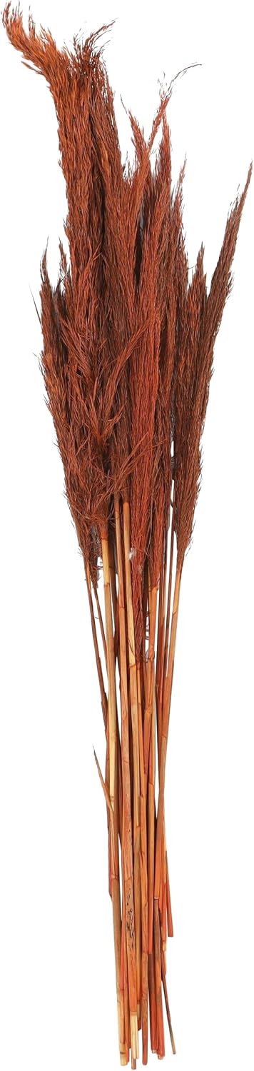 Deco 79 Dried Plant Pampas Grass Natural Foliage Tall , 2" x 1" x 35", Orange