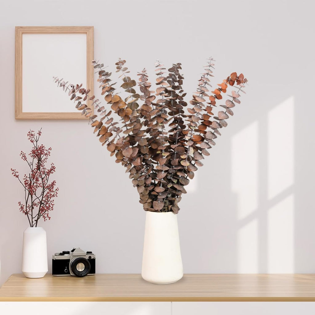 16 Pcs Dried Orange Eucalyptus Stems, 17" Preserved Eucalyptus Shower Plant