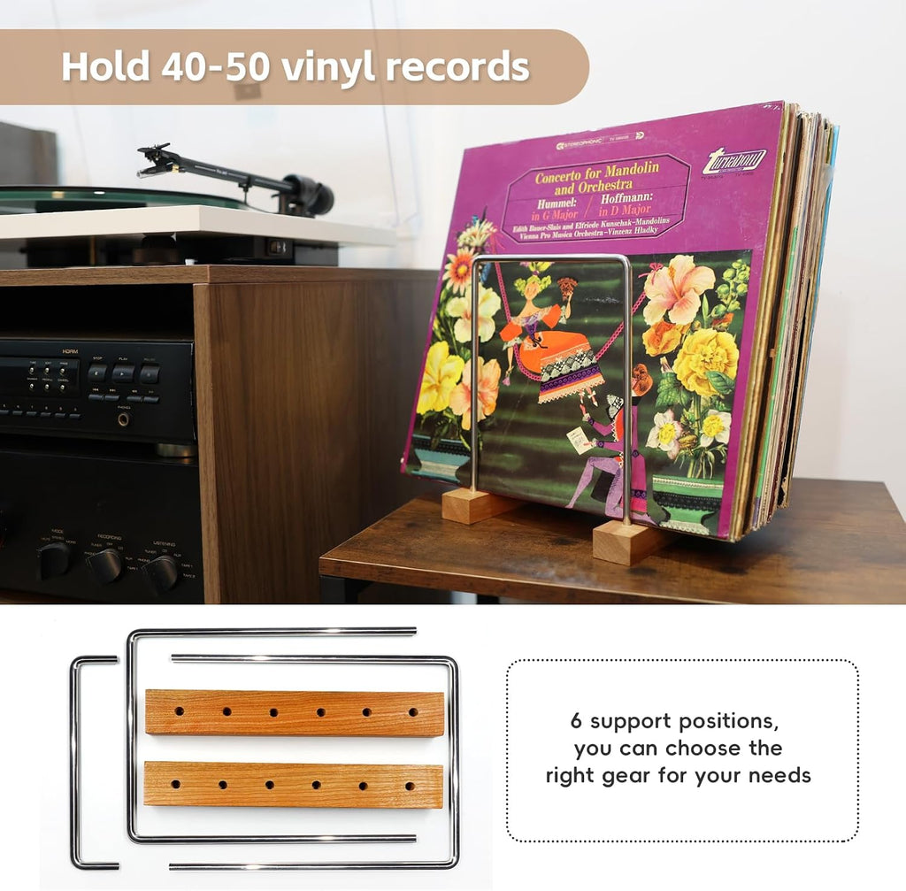 40 LP Vinyl Record Storage Solid Wood Vinyl Record Holder (Stainless Steel)