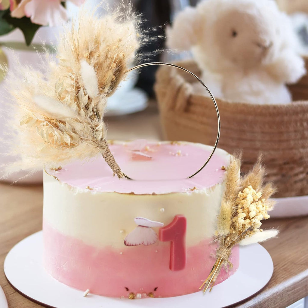 Sinmoe 2 Pcs Boho Cake Topper Decorations Hoop Wreath with Pampas Grass