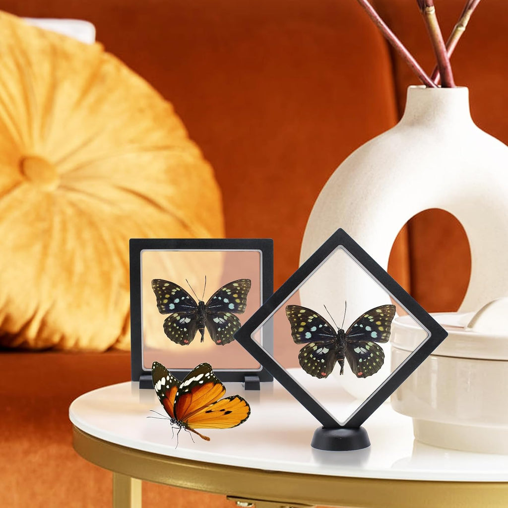 Sasakia charonda Butterfly Framed Decoration - Handmade Taxidermy Butterfly Shadow Box Collection, Framed Butterfly Taxidermy for Gothic Home Decor
