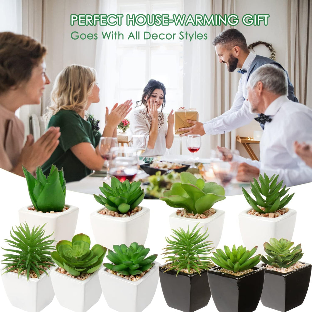 Hollyone Small Faux Succulents in White Ceramic Pot 3Pcs Artificial Succulents Fake Plant Gifts Home Decor Accents Centerpieces Bathroom Decor Mum Gifts Greenery Decoration Succulents Wedding