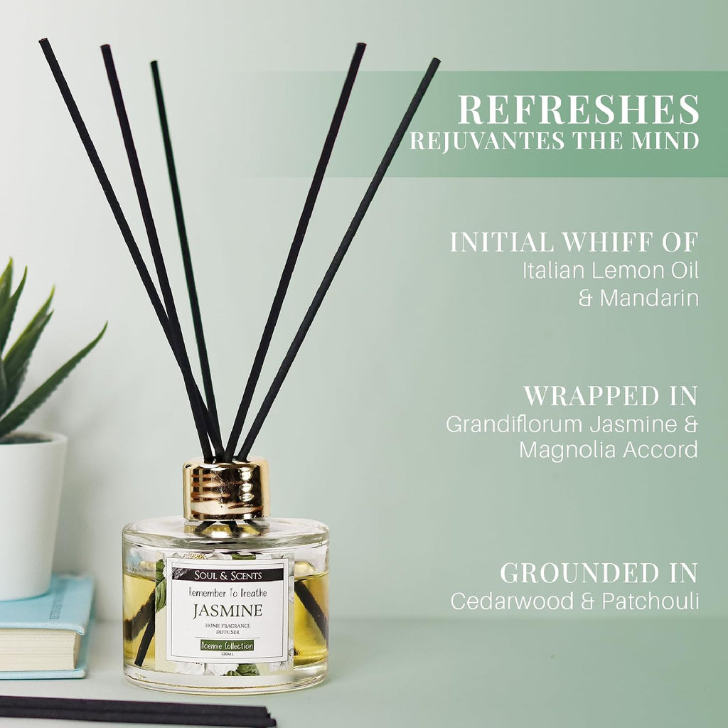Soul & Scents Jasmine Scented 4.06 oz (120ml) Reed Diffuser Set with 6 Fiber Sticks for Room Decor | Home Fragrance Reed Diffuser | Air Freshners for Home