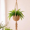 Shappy 1 Pack Boho Macrame Plant Hanger for Indoor