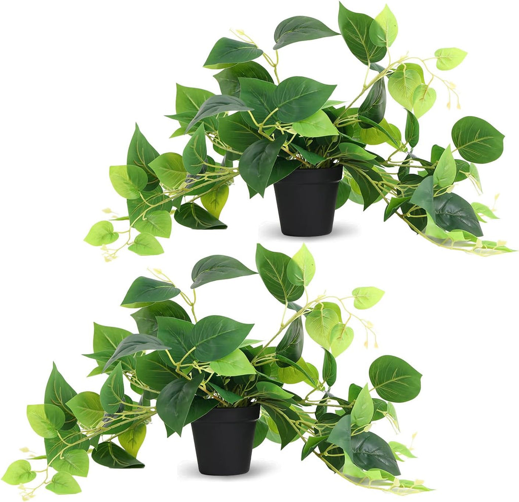 Tiita Artificial Pothos Plants in Pots, 2 Pack for Desk and Shelf Decor