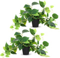 Tiita Artificial Pothos Plants in Pots, 2 Pack for Desk and Shelf Decor