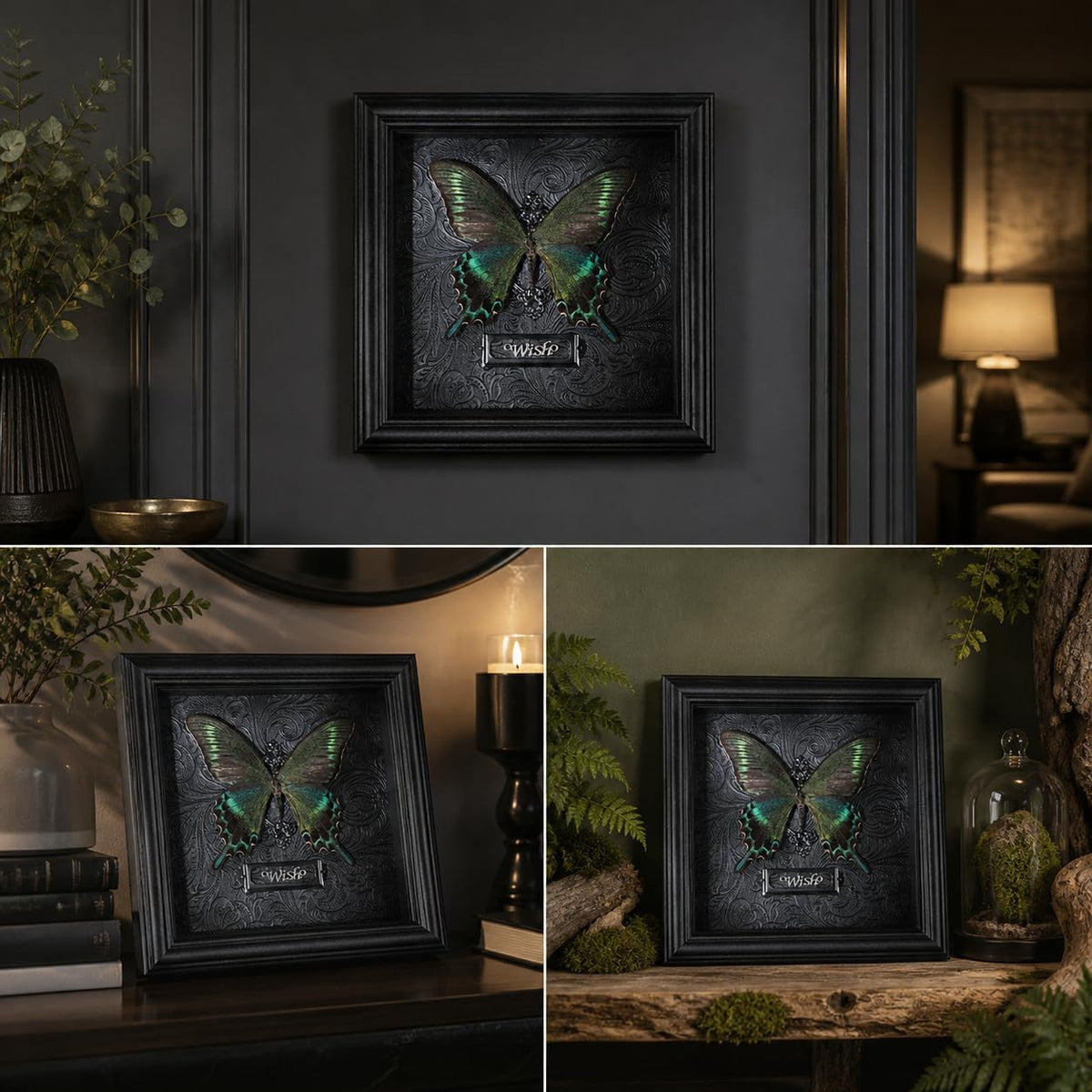 Real Handmade Taxidermy Butterfly Framed Gothic Baroque Art Home Decor