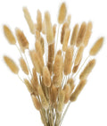 Brown Bunny Tails 120Pcs 17Inch Dried Grass for Boho Wedding Vase