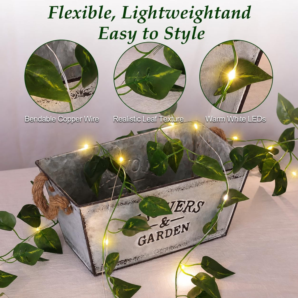 Vine Fairy Lights, 6.5FT 40 LEDs Pothos String Lights Indoor, 2 Pack