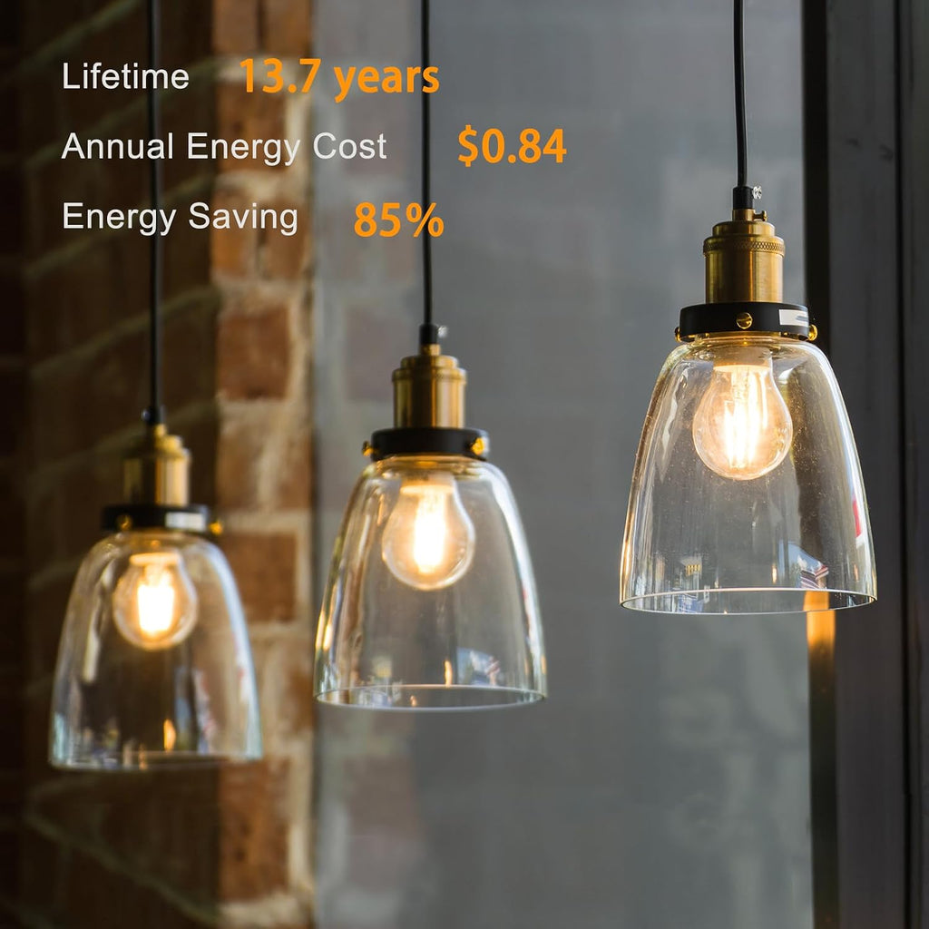 TJOY A19 LED Edison Light Bulb, E26 Dimmable Bulb, 60W Equivalent, 12 Pack