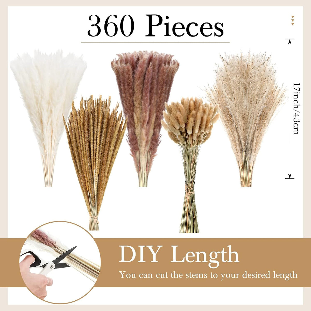 Treela 360 Pcs Pampas Grass Dried Flowers, 17 Inch Bunny Tails, Goldenrod