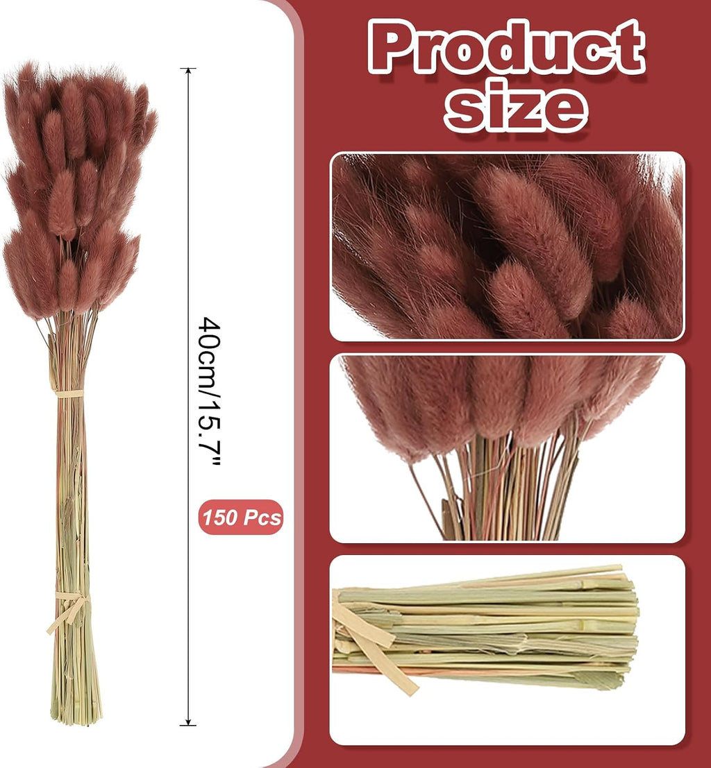 PATIKIL 15.7in Bunny Tails Dried Flowers, 150pcs Pampas Grass Decor Rabbit Tail Natural Pampas Grass Bulk Fluffy Faux Pampas Grass Dried for Home Boho Decor Vase Wedding, Brown Red