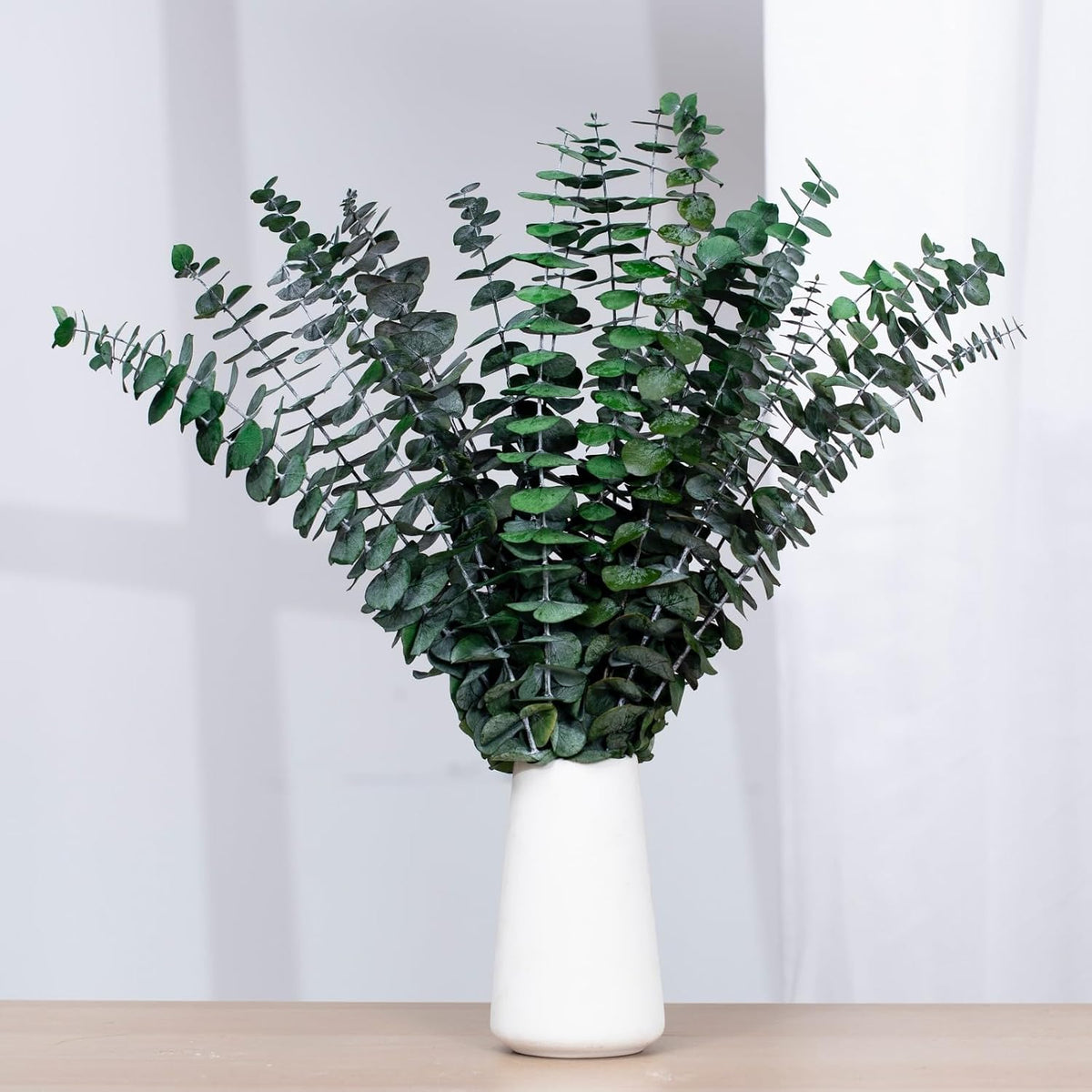 16 Pcs Dried Eucalyptus Stems, Preserved Black Plants for Shower Hanging