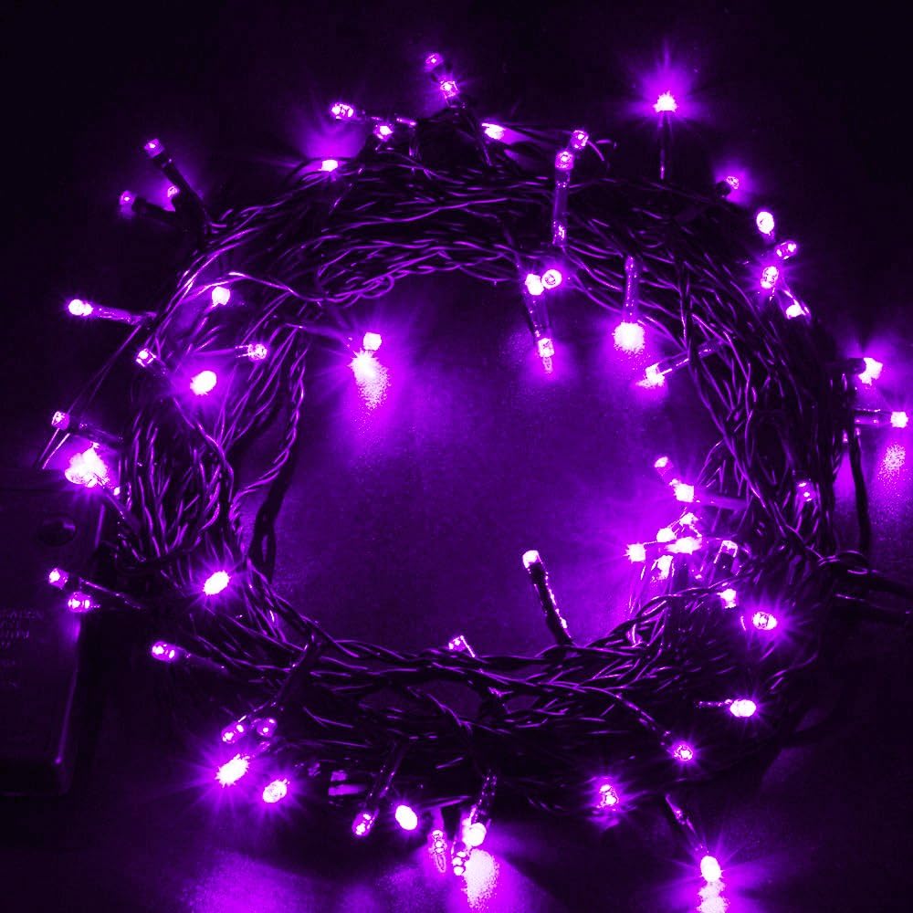 Super Z Outlet 30 Mini Bulb LED Battery Operated Fairy String Lights in Purple for Valentines Day, Romantic Wedding, Home Decoration Room Lighting, Christmas, Crafts (158" inch Long String)