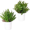 Abzo 2 Pack Artificial Potted Plants Fake Plants Artificial Plastic Plants for Table Desk Bathroom Shelf Home Kitchen Office Decor