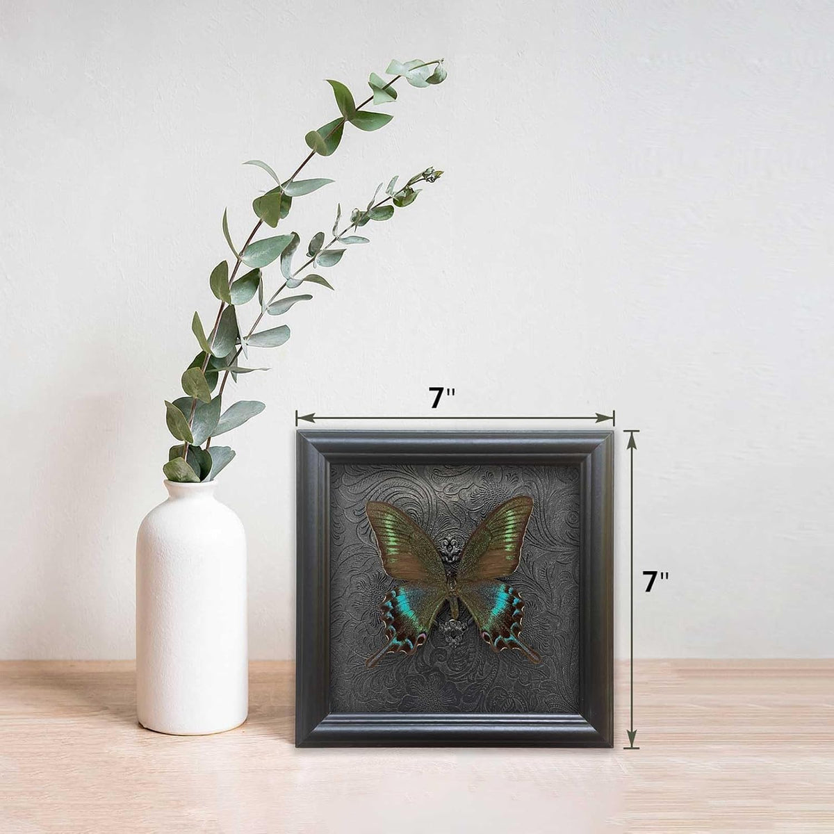 Real Framed Butterfly Specimen Shadow Box Taxidermy,Gothic Wall Decor, Taxidermy Butterfly Shadow Box Frame, Insect Taxidermy for Gothic Home Decor