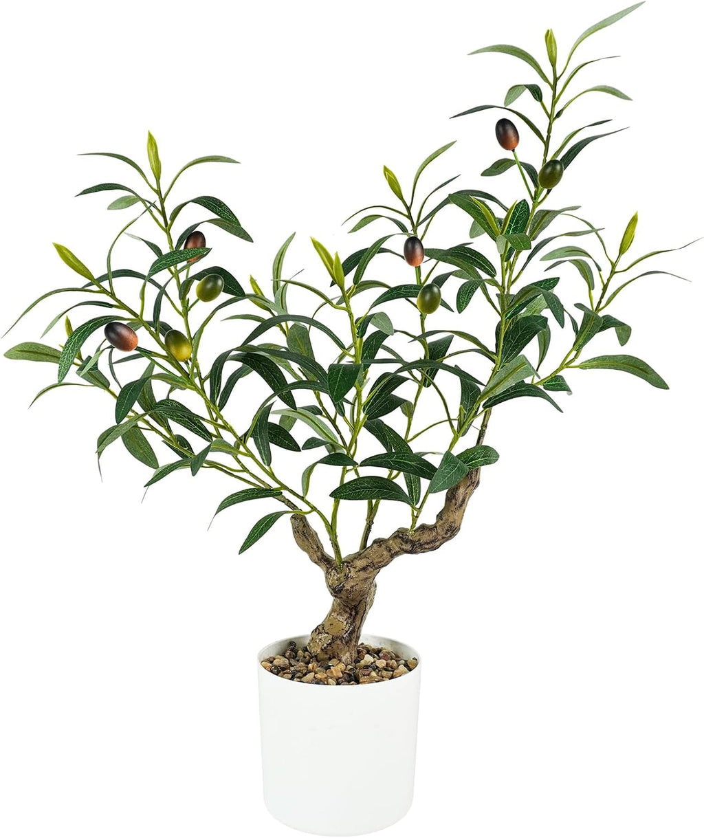 Caxchiling Artificial Olive Tree 2FT, Faux Potted Tree Indoor