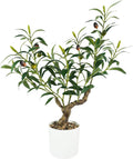 Caxchiling Artificial Olive Tree 2FT, Faux Potted Tree Indoor