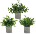 3 Pack Small Potted Fake Plants for Desk Shelf Bedroom Decor