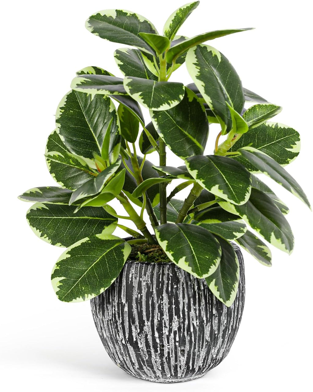 SHOHAYTO Artificial Plants Indoor Outdoor, Faux Variegated Oak Leaf Plant