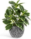 SHOHAYTO Artificial Plants Indoor Outdoor, Faux Variegated Oak Leaf Plant