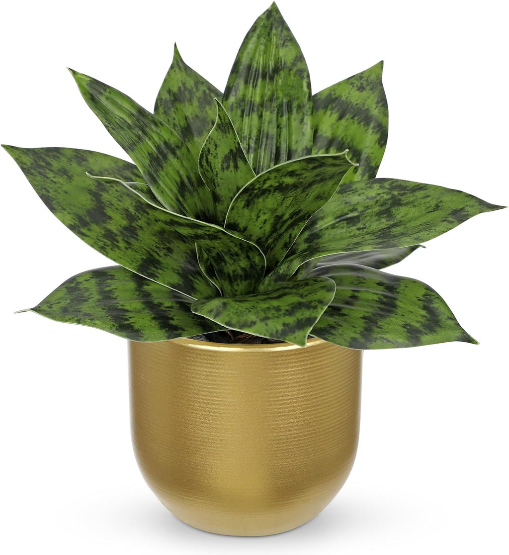 Hollyone Artificial Snake Plants 9" Faux Agave Succulent Plant Potted in Gold Pot Fake Sansevieria Aloe Tropical Plant for Desk Modern Office Home Bathroom Indoor Outdoor Decor