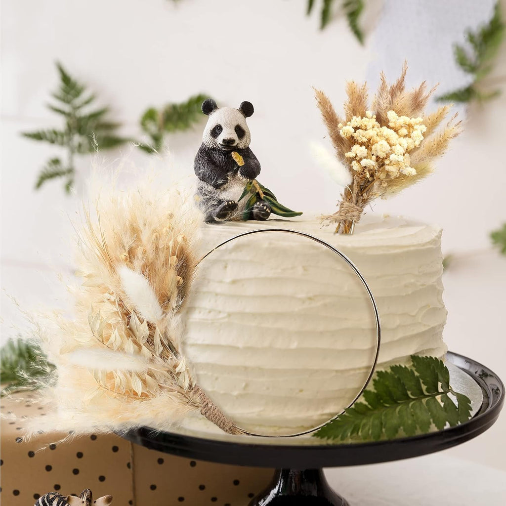 Sinmoe 2 Pcs Boho Cake Topper Decorations Hoop Wreath with Pampas Grass