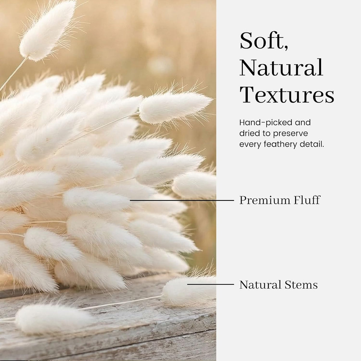 JOHOUSE 120PCS Dried Pampas Grass Decor, 17 Inch White Bunny Tails