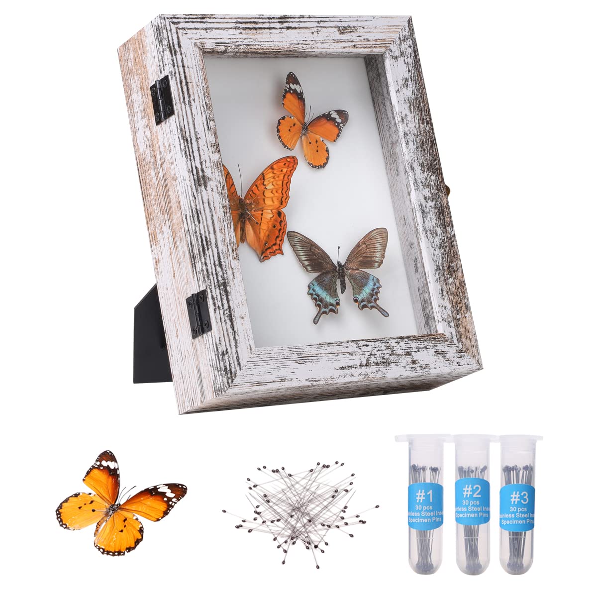 IHEIPYE Insect Display Case Bug Display Case Shadow Box Small Rustic White
