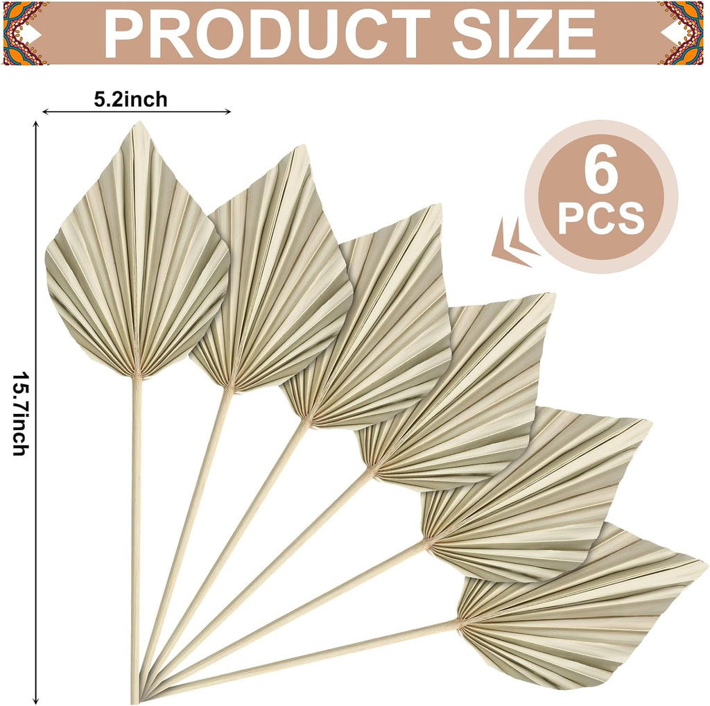 6 Pcs Small Boho Dried Palm Fans Dried Palm Spears Leaveswith Stem