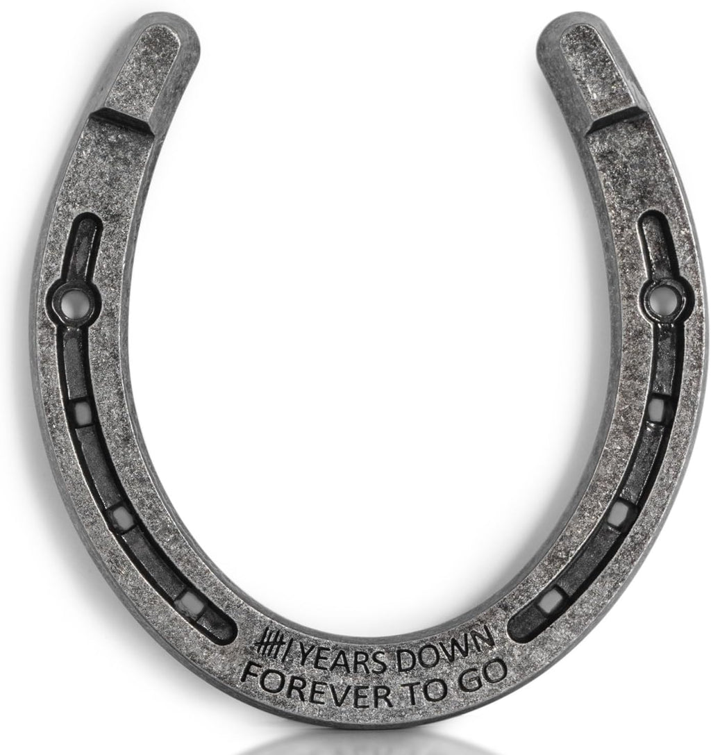 Horseshoe 6th Anniversary Iron Gifts for Him Her 6 Year Wedding Anniversary