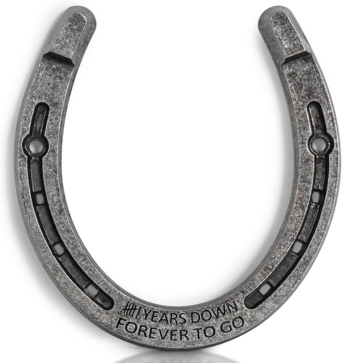 Horseshoe 6th Anniversary Iron Gifts for Him Her 6 Year Wedding Anniversary