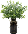 Fake Eucalyptus Stems in Black Glass Vase with Faux Water for Home Decor
