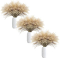 Uieke 300Pcs Natural Dried Pampas Grass Plume 17inch Tall Dried Flowers Bulk Reed Dried Plants for Wedding Flower Arrangements Farmhouse Wreath Door Centerpiece Home Décor Brown