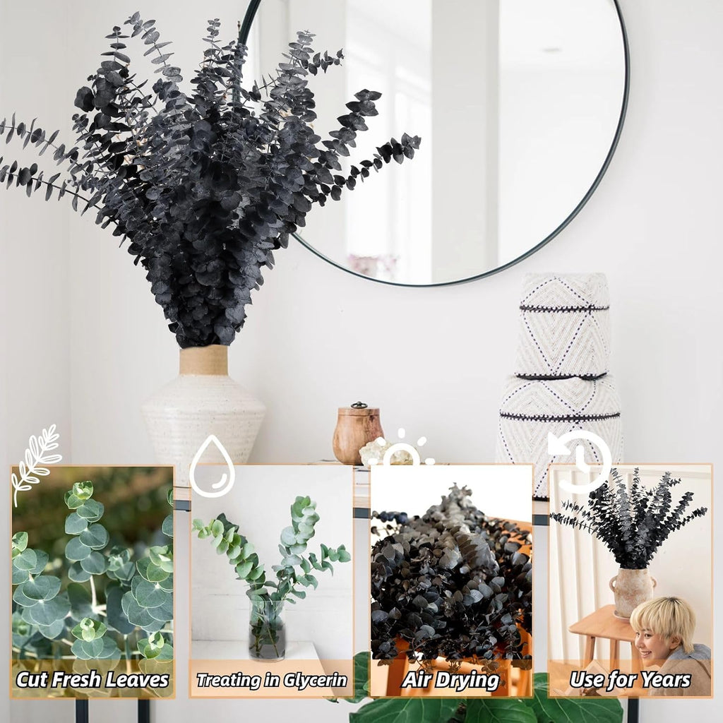 15 Pcs Real Black Eucalyptus Stems, 17" Dried Plants Natural Branches