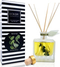 Reed Diffuser Set, Revive Eucalyptus Scented Oil Diffuser with Sticks, Home Fragrance Accessories for Bathroom Shelf Decor, Aroma Diffusers for Home or Office Desk, USA Made